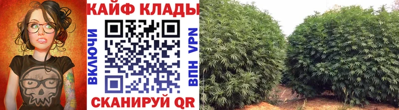 Купить наркотик аптеки Заинск Канабис  Кокаин  Амфетамин  СОЛЬ  МЕФ  Гашиш 