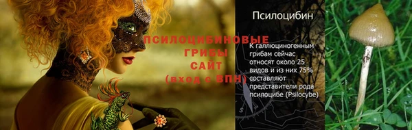 не бодяженный Балахна