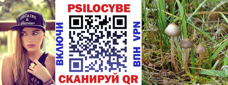Галлюциногенные грибы GOLDEN TEACHER  даркнет сайт  mega зеркало  Заинск 